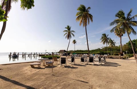 Beach area by marina