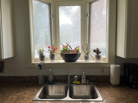 sink with a view!