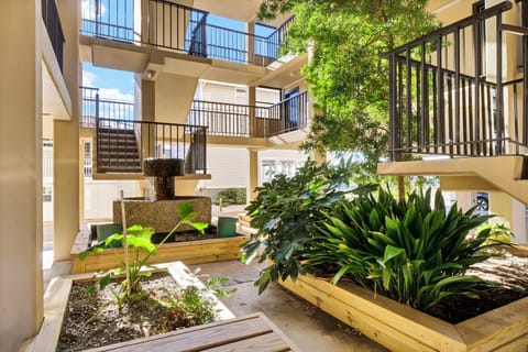 A peaceful inner courtyard with lush raised garden beds and modern architecture creates a tranquil retreat.