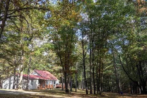 The cabin sits on 5 peaceful acres