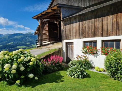 Flower, Plant, Building, Property, Window, Sky, House, Cloud, Cottage, Architecture