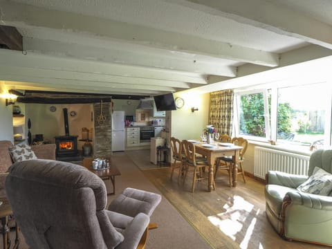 Open plan area with fireplace, sofa, tow armchairs, dining table with four chairs and kitchen in the background