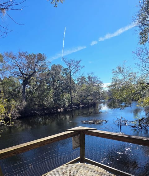 View from back deck over looking Withlacoochee river