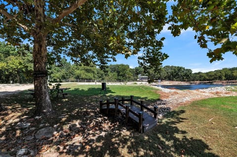 Grass, Nature, Outdoors, Park, Scenery