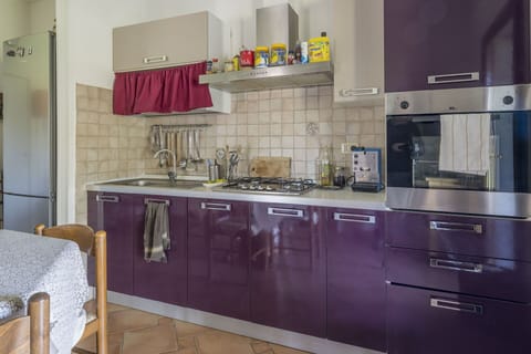 Autumn, Kitchen, Spring, Summer