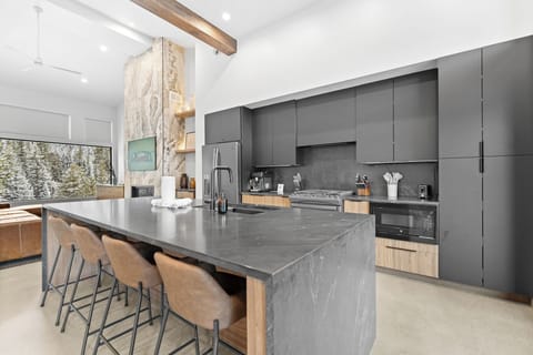 Full kitchen with stainless steel appliances, and breakfast bar seating 4.