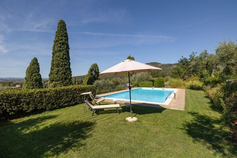 Garden and swimming pool