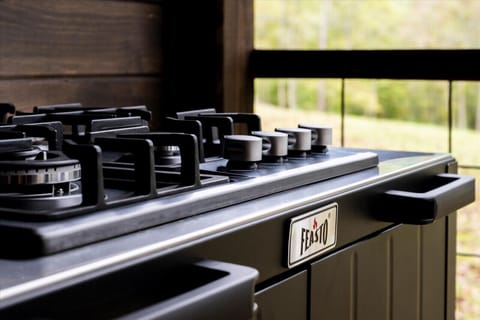 Propane stove for cooking