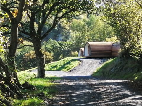 Setting | Glampio Trysor Garth - Glampio Trysor, Corwen, near Bala