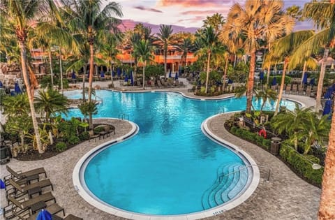 Paseo’s Award-Winning Resort-Style Pool