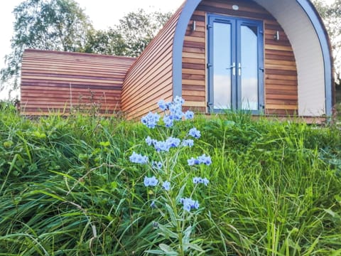 Exterior | Glampio Trysor - Glampio Trysor Derwen - Glampio Trysor, Corwen, near Bala