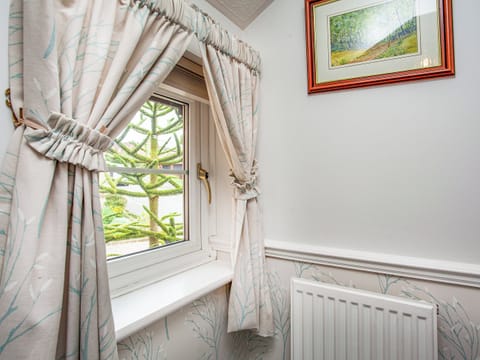 Interior | Squirrels, Teignmouth