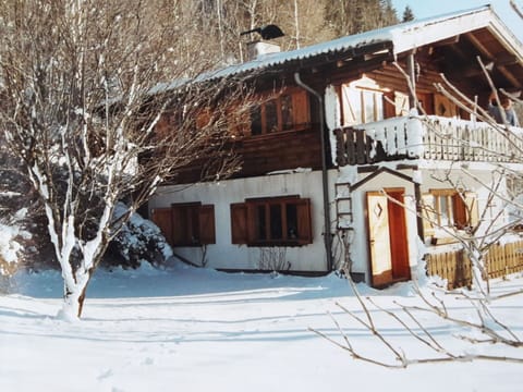 Snow, Building, Property, Window, Plant, Tree, House, Twig, Freezing, Wood