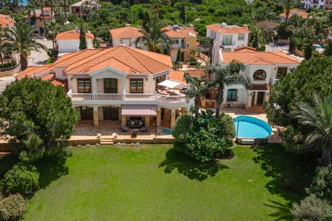 Albero Bella Villa 2 (11667)