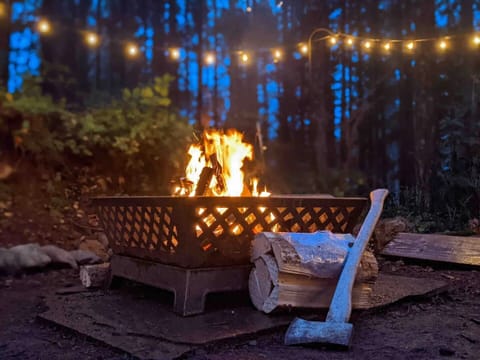 Firepit in the backyard