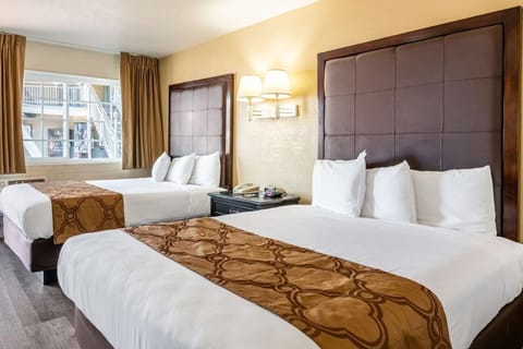 Unit With 2 Queen Beds. Exact unit will be assigned upon arrival. Views, colors, and decor may vary.