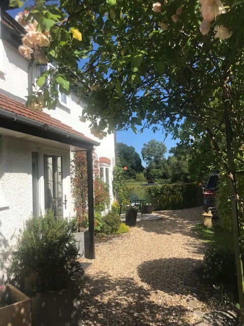Side garden view onto open forest