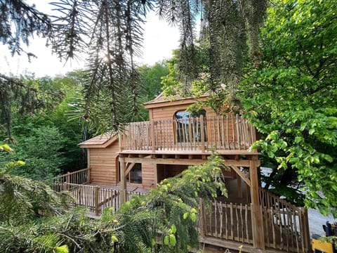 405f8815-18eb-4f0a-8f0c-c364a3d740b6