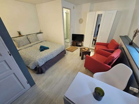 Espace salon et chambre double avec télévision, ouvert sur la cuisine.