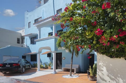 Charming courtyard with vibrant blooms