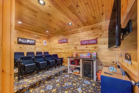 Views To Die For's theater room