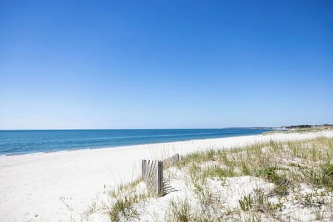 Wander along soft dunes to a wide, quiet shoreline.