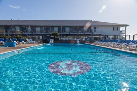 Swim laps in sunlit water with loungers all around.