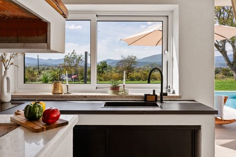 A kitchen top with an electric cooktop, and a sink 