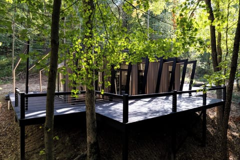 Modern Mohican Fauna Bluff