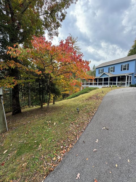 Driveway to the house 