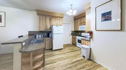 433-W-San-Antonio-St-Bluebonnet-Kitchen 1