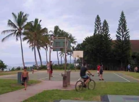 Sport court