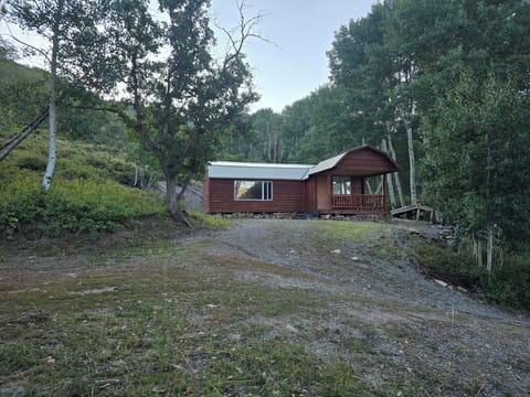 Lake Cabin Front and parking
