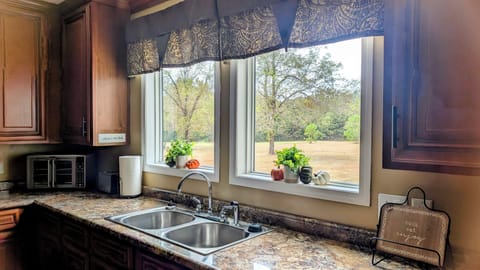 Kitchen sink with a view