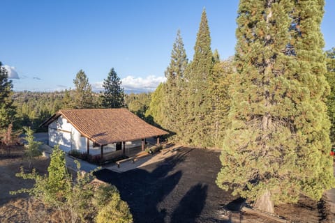 You are staying in the Sierra National Forest.