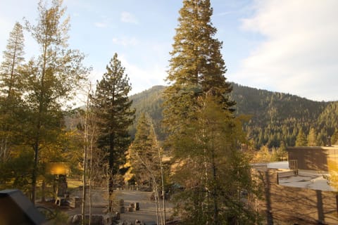 View from the Room