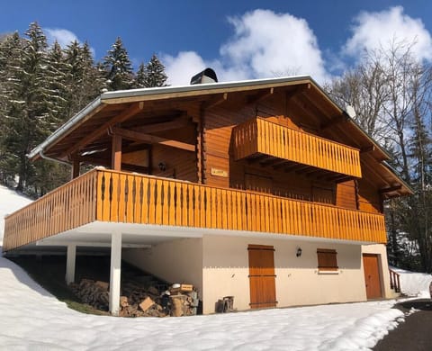 Chalet Winter