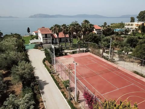 Sport court