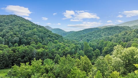 Mountain view off the deck