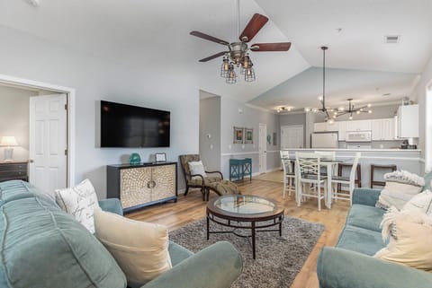 Living Room with Television