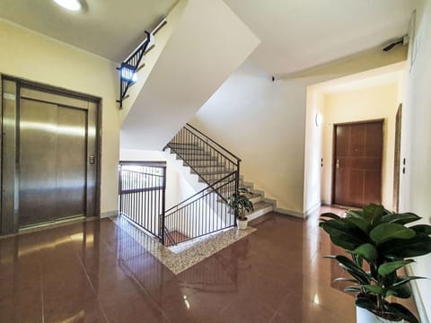 Plant, Property, Building, Wood, Stairs, Interior Design, Window, Hall, Floor