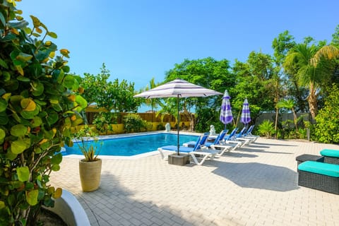 Tropical Poolside Serenity