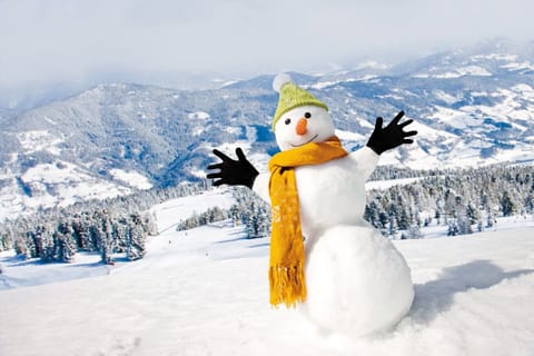 Surroundings [winter] (1-5 km)