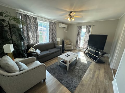 Living Room with Sofa bed