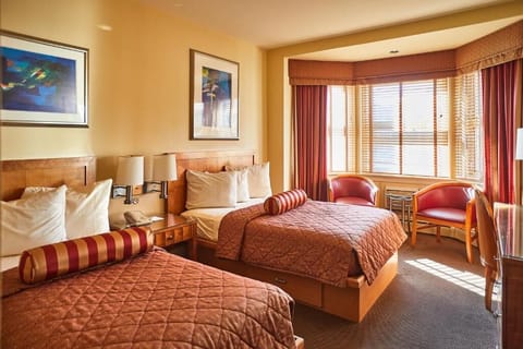 Stretch out on plush beds in warm, sunlit comfort.