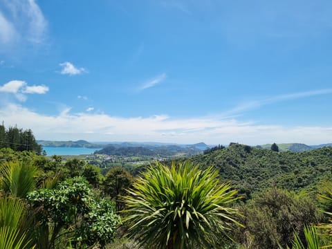 View from Coromandel Pole House