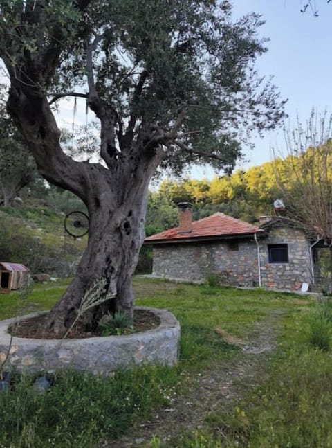 A stonehouse in the forest 🌿🌿 with pool