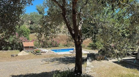 a stonehouse in the forest 🔥 with pool 