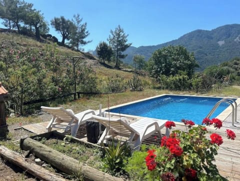 There is a pool in the forest 🔥🔥