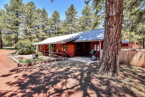 PORTER presents Rustic Star, an authentic 100-year-old log cabin nestled on the edge of the Kaibab Forest.